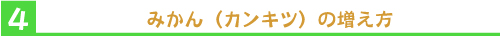 みかん（カンキツ）の増え方