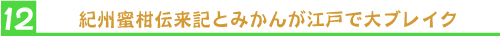 紀州蜜柑伝来記とみかんが江戸で大ブレイク