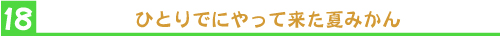 ひとりでにやって来た夏みかん