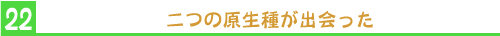 二つの原生種が出会った